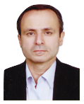 دکتر محمد تقی احمدی