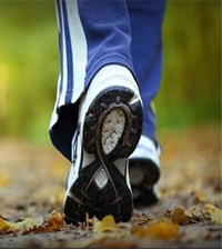 تندرست و شاداب با ورزش و پیاده‌روی صبحگاهی (یکشنبه‌های هر هفته) 